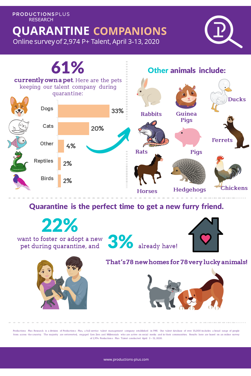 Pets Infographic